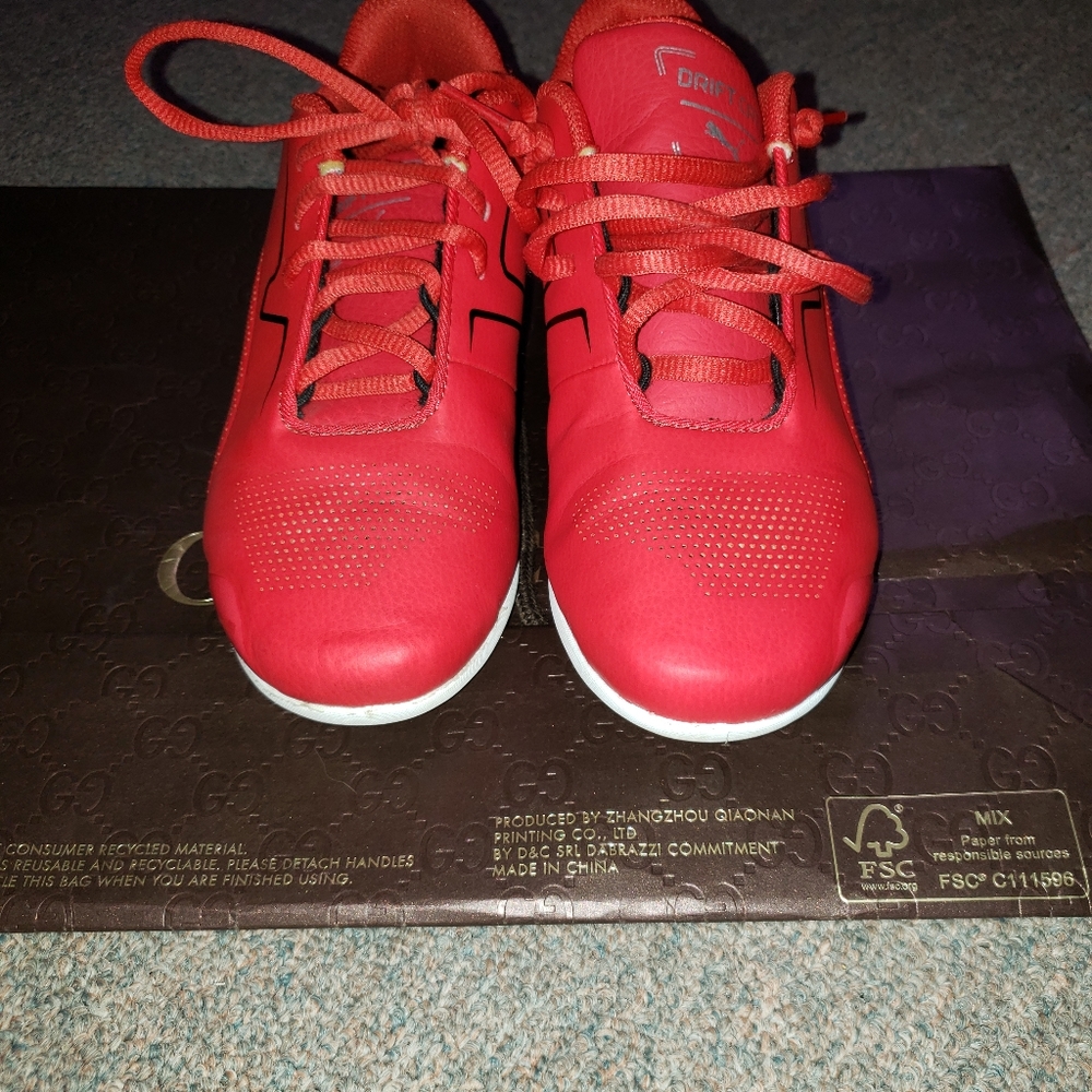 Ferrari pumas